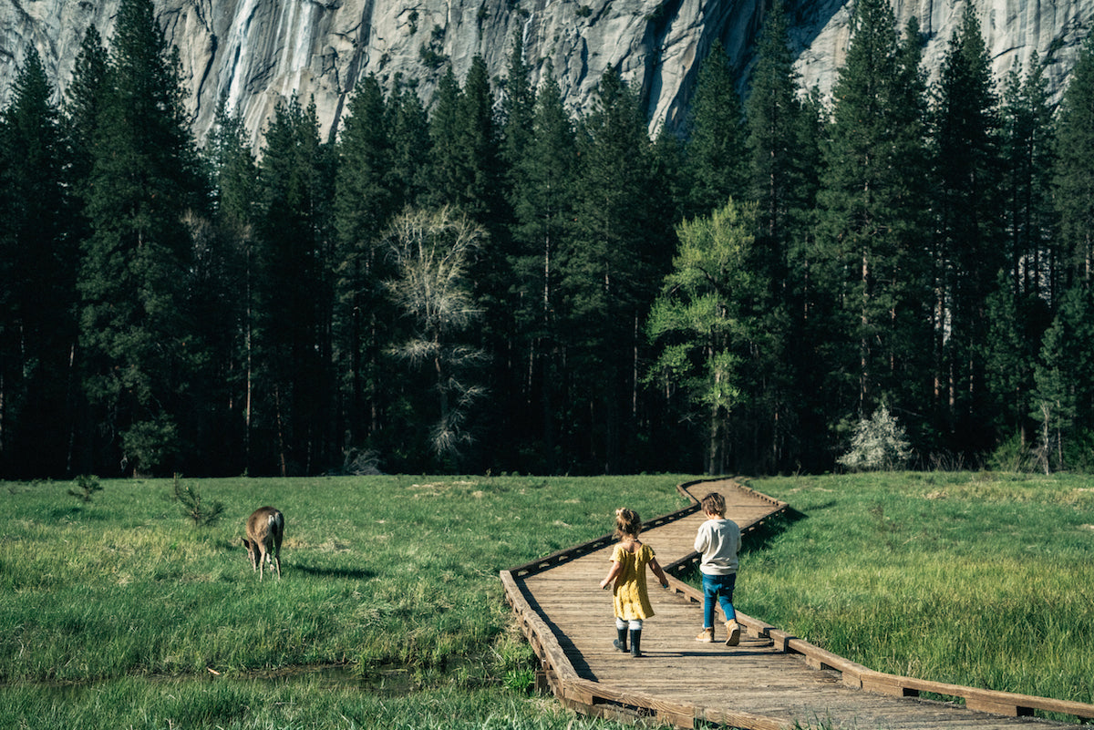 Travel Guide: Big Sur & Yosemite.